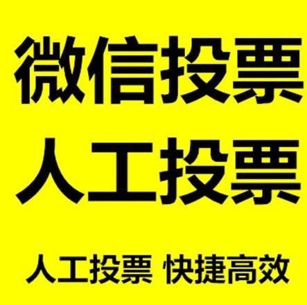 保定市投票活动拉票能被查出来吗？如何操作能不被发现？